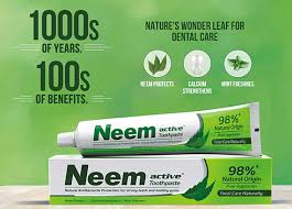 NEEM ACTIVE TOOTHPASTE 125GM