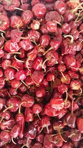 சிவப்பு குண்டு மிளகாய் / Red Round Chilly