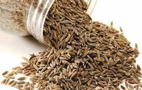 சீரகம் / Cumin